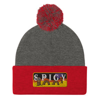 Spicy Sandworm Pom-Pom Beanie